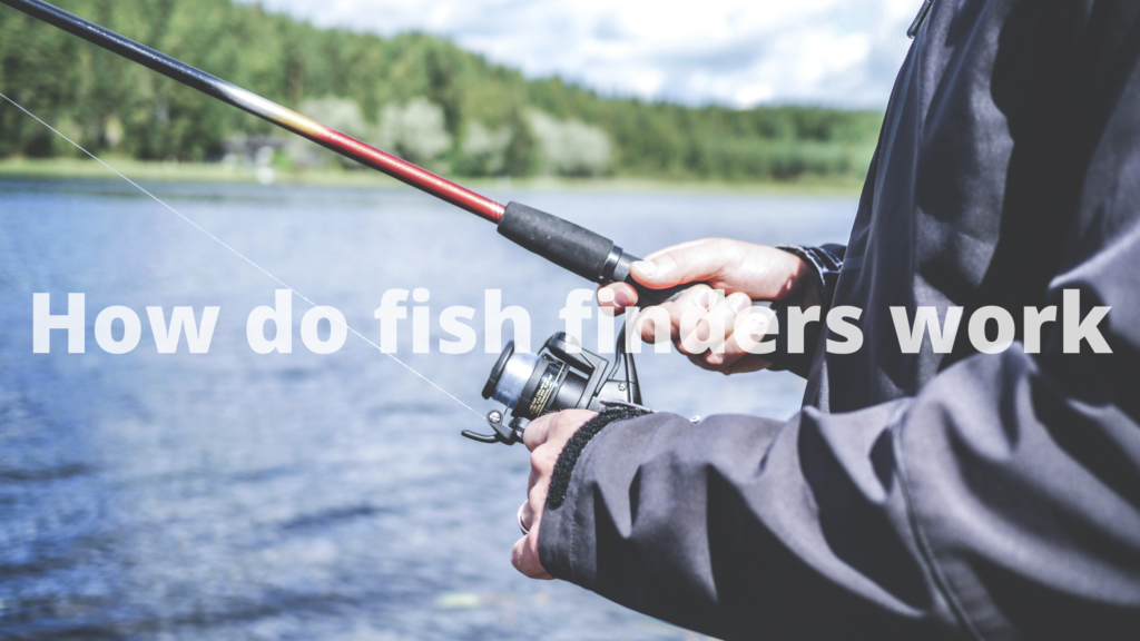 How do fish finders work?